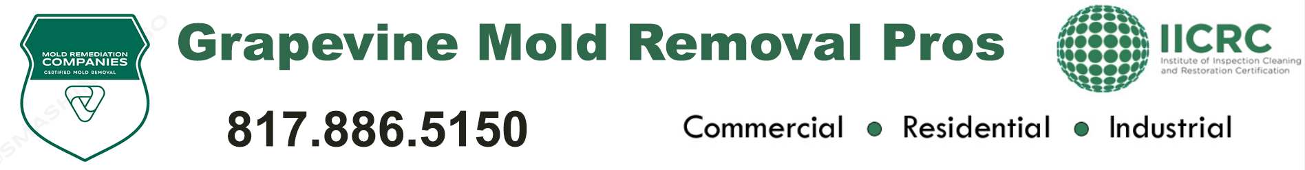 Grapevine Mold Removal Pros