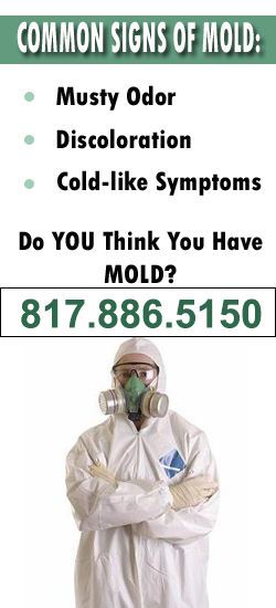 Grapevine Mold Remediation Contractor